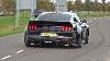 Best Of Ford Mustang Sounds Shelby Gt500 Alphamale Widebody Gt350 Rtr Widebody Royal Crimson Gt