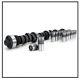 Ford 240 300 Rv Torque Camshaft Cam F150 Kit Lifters E1178p Stage 1