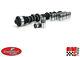 Stage 3 Hp Camshaft & Lifters For Ford 289 302 5.0l Windsor 512/512 Lift